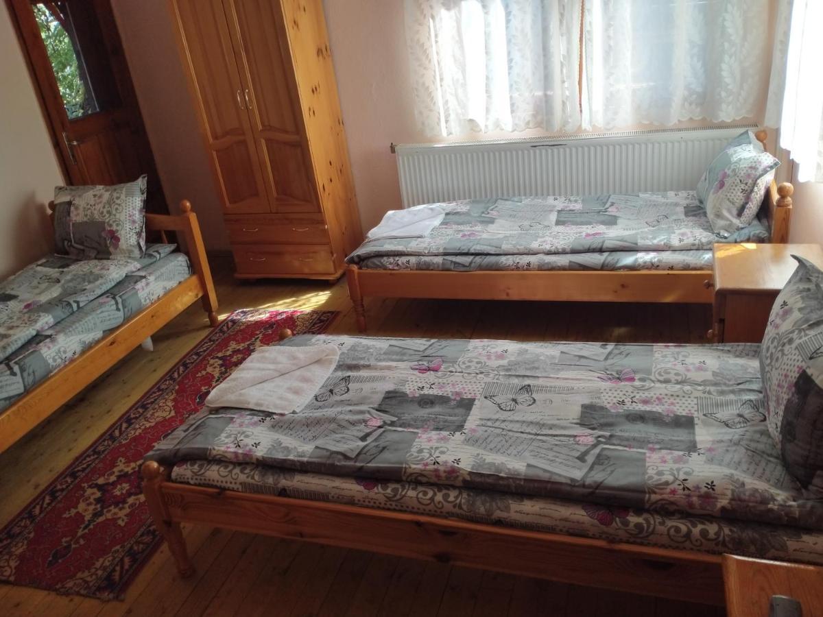Стаи За Гости Дора Копривштиця Номер фото