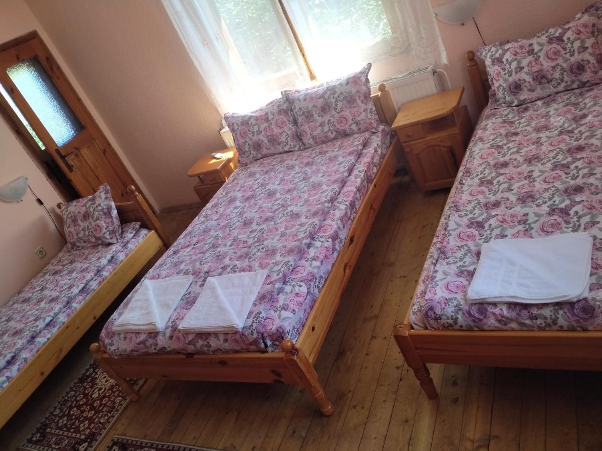 Стаи За Гости Дора Копривштиця Номер фото