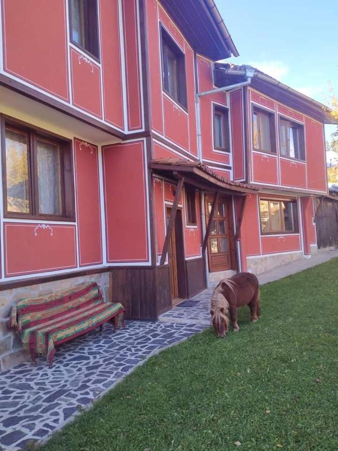 Стаи За Гости Дора Копривштиця Екстер'єр фото